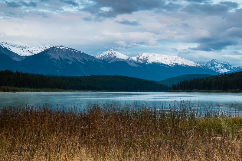 Morgenstimmung am Patricia Lake