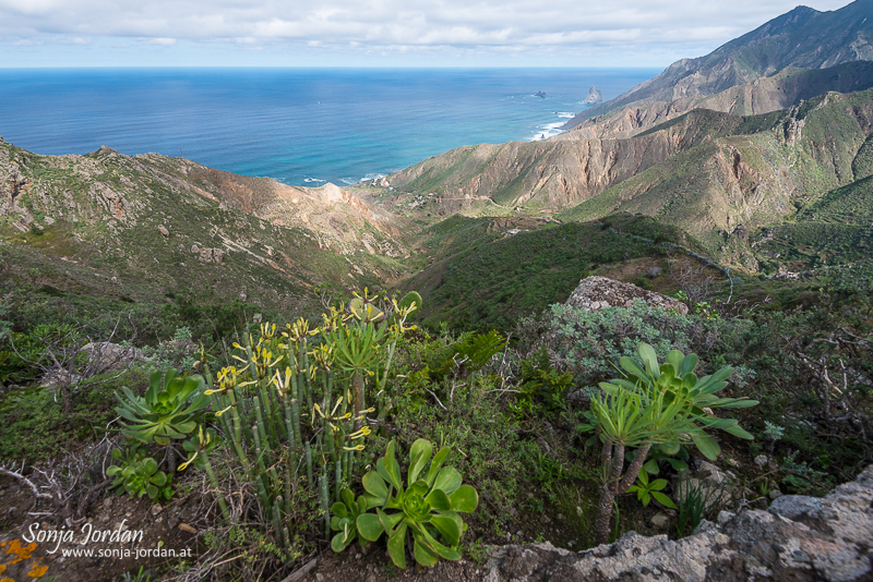 Anaga-Gebirge, Kanarische Inseln, Teneriffa, Spanien