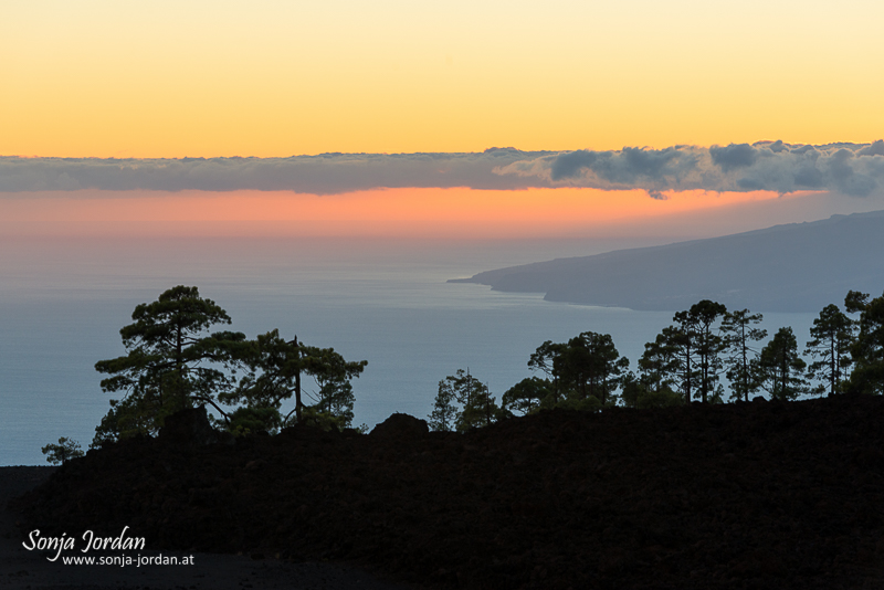 Nationalpark Teide, Kanarische Inseln, Teneriffa, Spanien