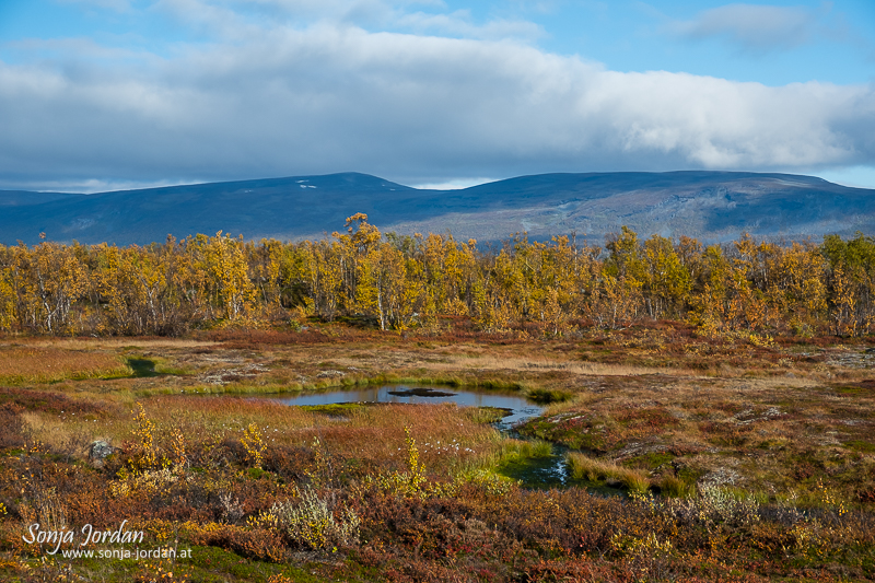 Herbstliche Landschaft, Norrbotten, Norrbottens län, Laponia, Lappland, Schweden
