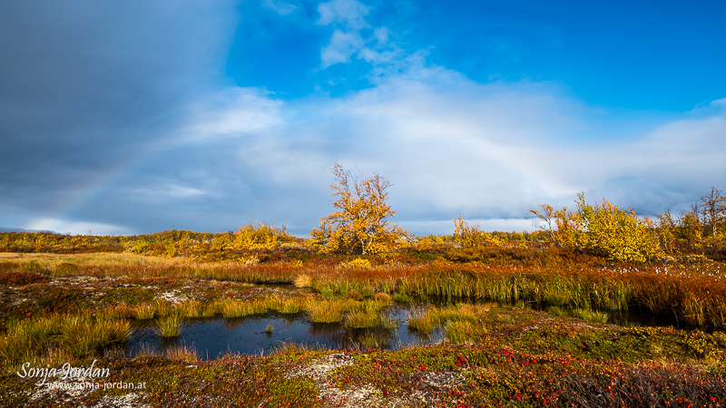 Herbstliche Landschaft mit Regenbogen, Norrbotten, Norrbottens län, Laponia, Lappland, Schweden
