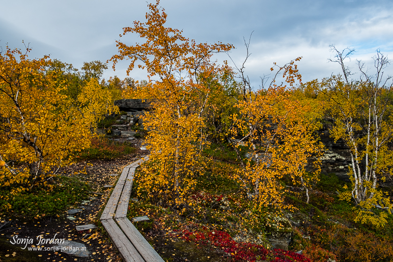 Wanderweg, Herbstlicher Abisko Nationalpark, Norrbotten, Lappland, Schweden