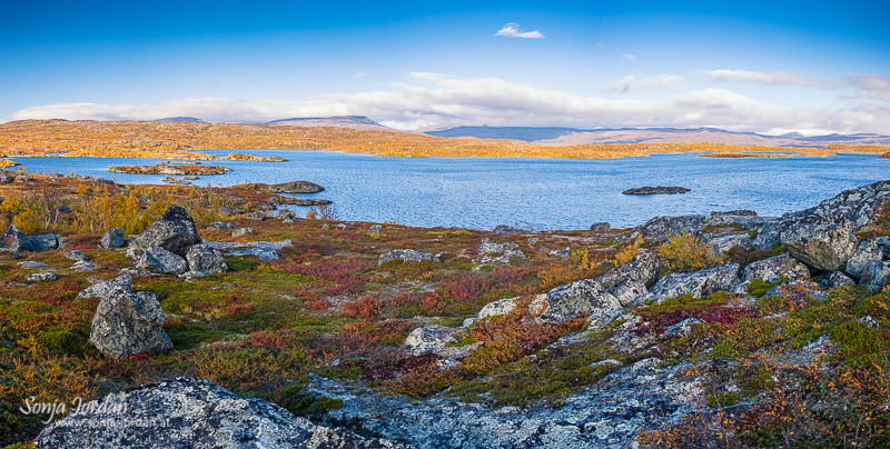 See Paktajaure, Herbstliche Landschaft, Norrbotten, Norrbottens län, Laponia, Lappland, Schweden