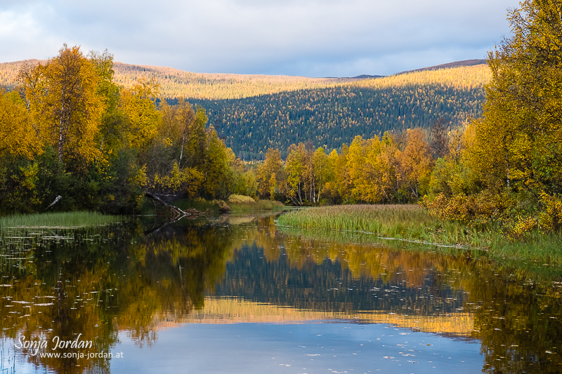 Herbstliche Landschaft, Kvikkjokk Delta, Spiegelung im Fluss Tarraätno, Sarek Nationalpark, Norrbotten, Norrbottens län, Laponia, Lappland, Schweden