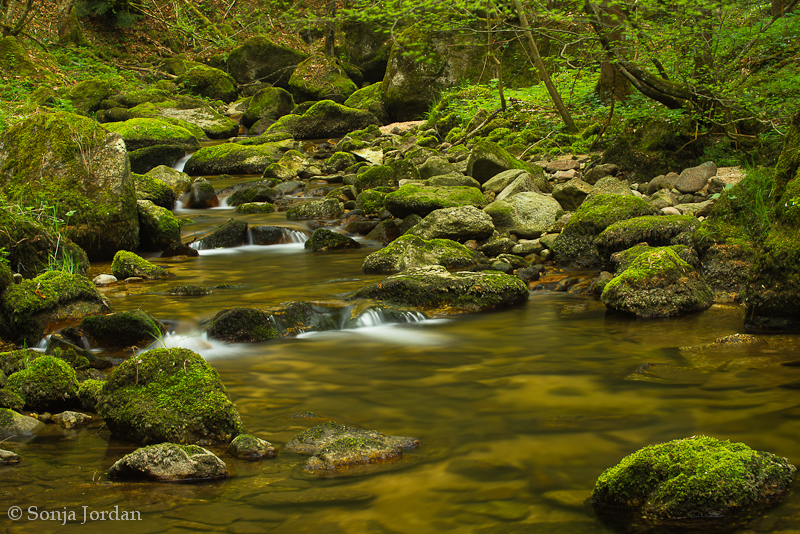 In der Stillensteinklamm