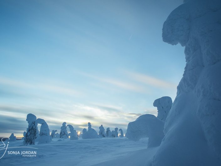 Riisitunturi National Park