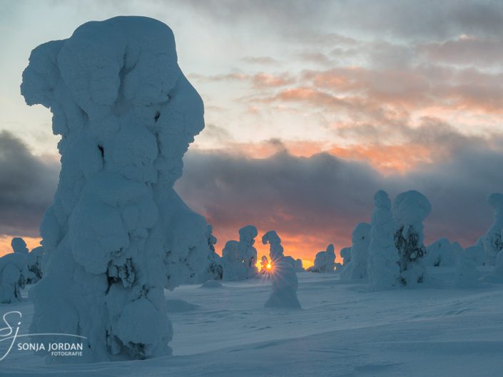 Riisitunturi National Park