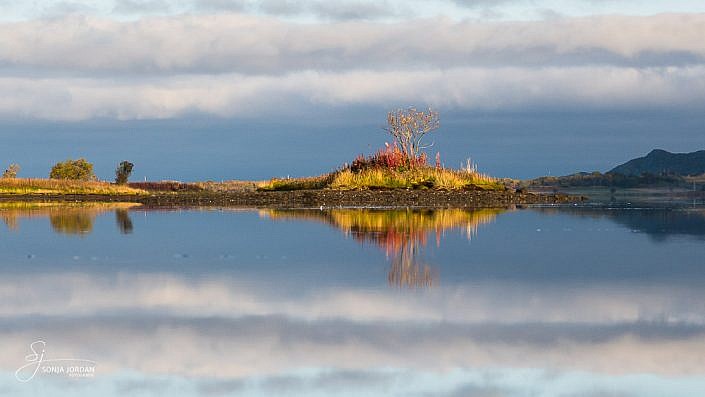 Lofoten