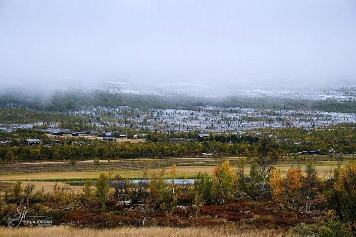 Dovrefjell-Sunndalsfjella-Nationalpark