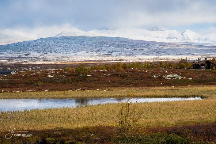 Dovrefjell-Sunndalsfjella-Nationalpark