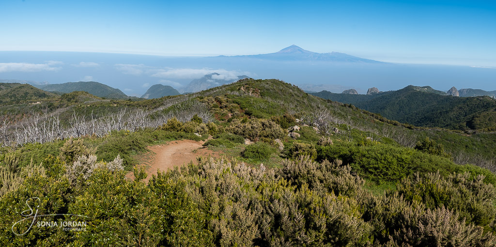 Blick nach Teneriffa vom Alto de Garajonay, dem höchsten Punkt der Insel. 