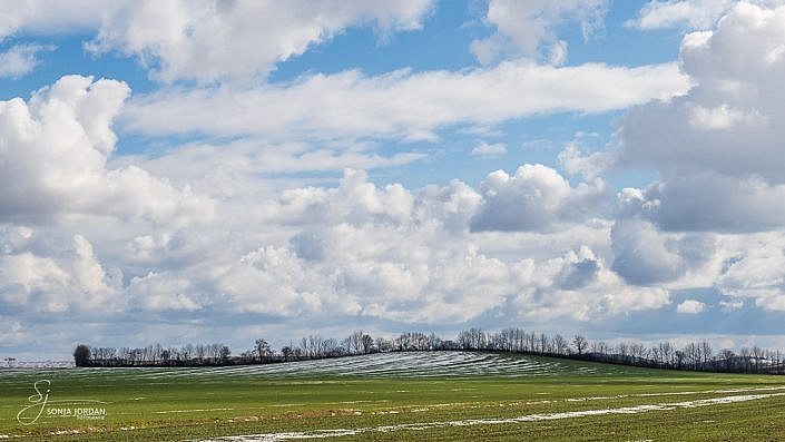 Weinviertel