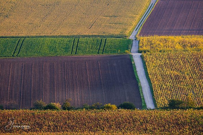 Weinviertel