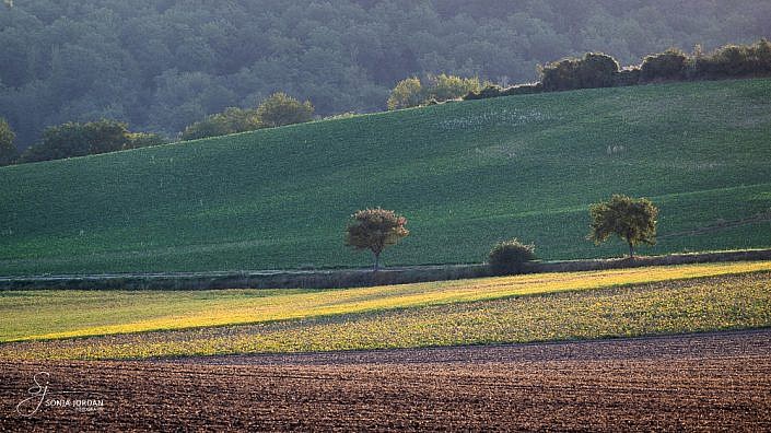 Weinviertel