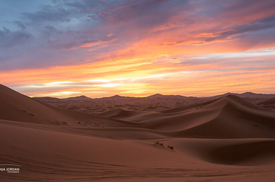 Auf den Dünen der Sahara